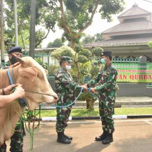 Penyembelihan Hewan Qurban Kegiatan Masjid AL-ARIF Mabes TNI-AL KOTA ADM. JAKARTA TIMUR