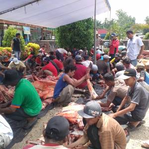 penyembelihan hari qurban Kegiatan Masjid Alfalah Padang Bintungan KAB. DHARMASRAYA