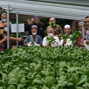 Panen bersama jajaran yayasan dan masjid di bawah yayasan