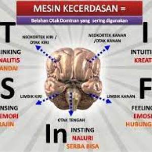 IBADAH SHAUM MEMBENTUK KEMAMPUAN KOGNITIF, AFEKTIF, DAN KONATIF.